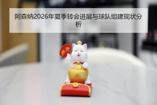 阿森纳2026年夏季转会进展与球队组建现状分析